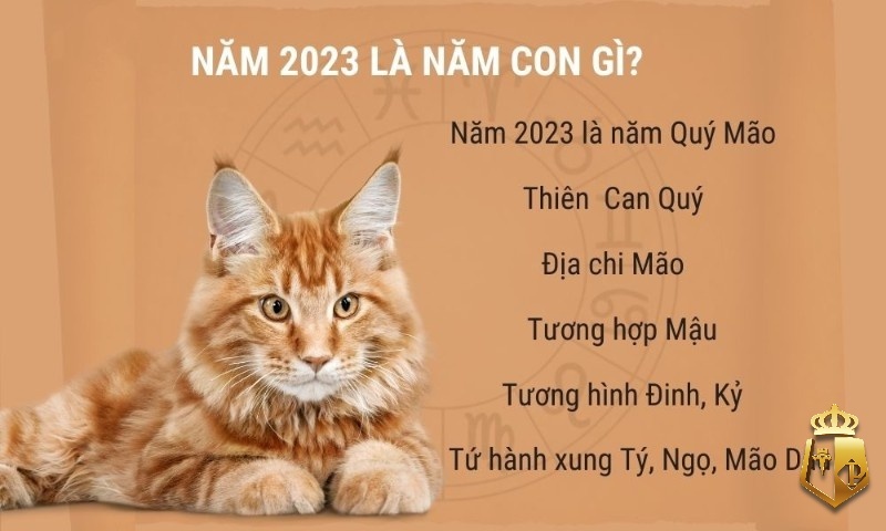 Năm 2023 là năm con gì, mệnh gì, có nên sinh con không?