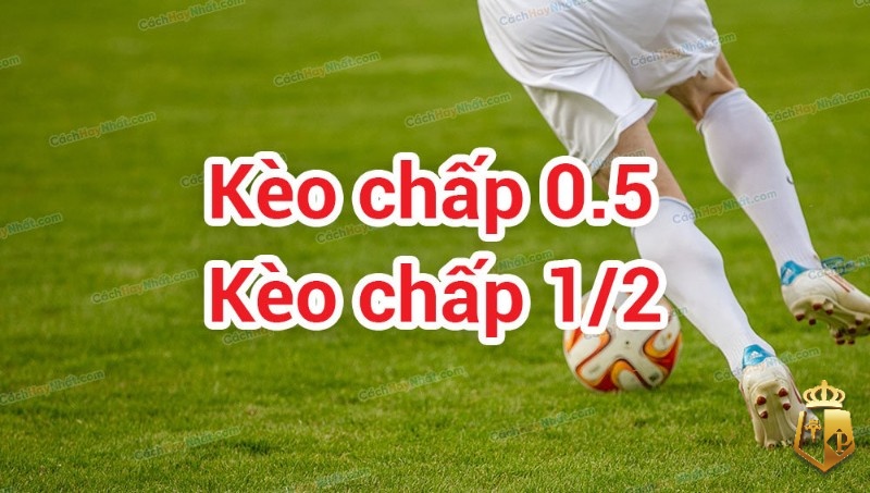 tai xiu 05 la gi cach hieu keo va meo dat cuoc de thang 1 - Tài xỉu 0.5 là gì? Cách hiểu kèo và mẹo đặt cược dễ thắng